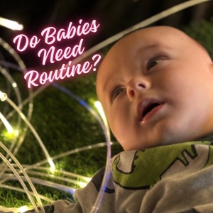 Do Babies need routine